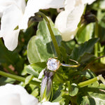 Thumbnail for Image Title