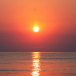 Beach House - Vacation Rental